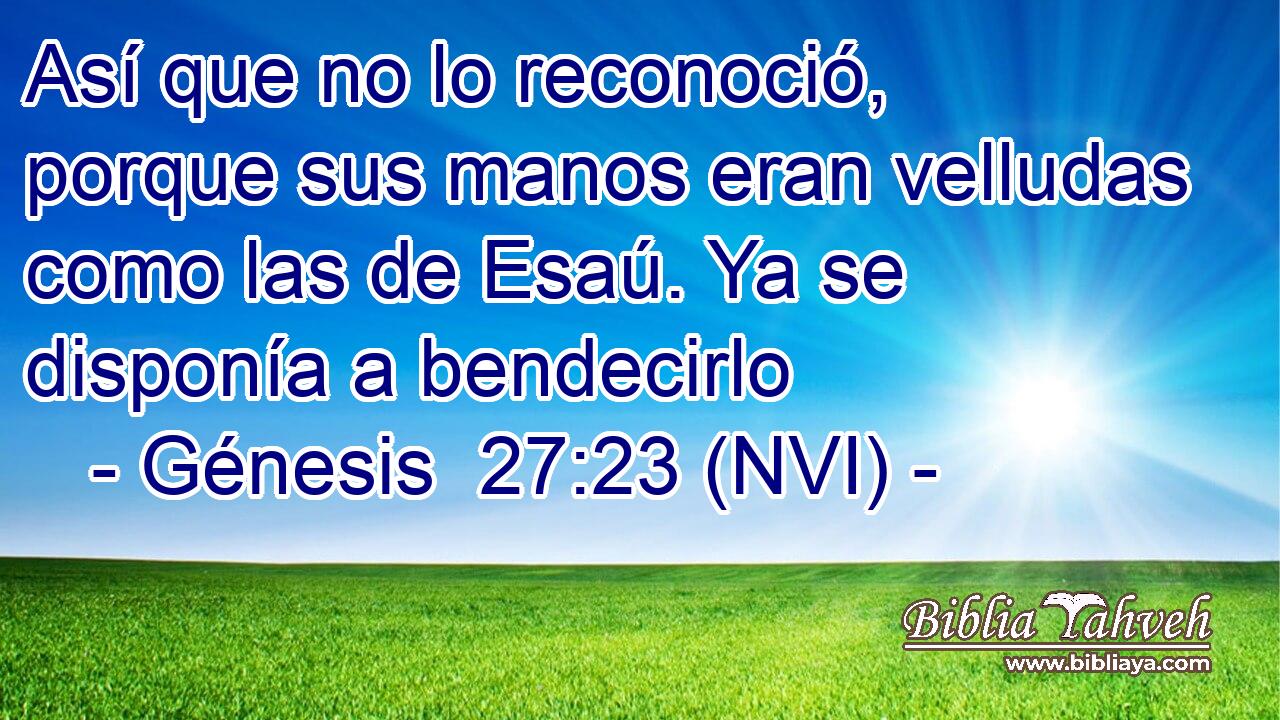  Así que no lo reconoció, porque sus manos eran velludas como las de Esaú. Ya se disponía a bendecirlo 