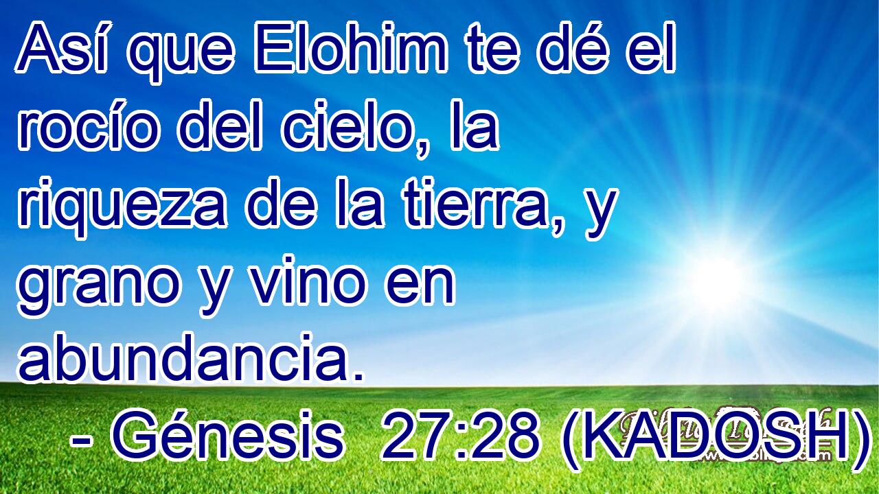  Así que Elohim te dé el rocío del cielo, la riqueza de la tierra, y grano y vino en abundancia. 