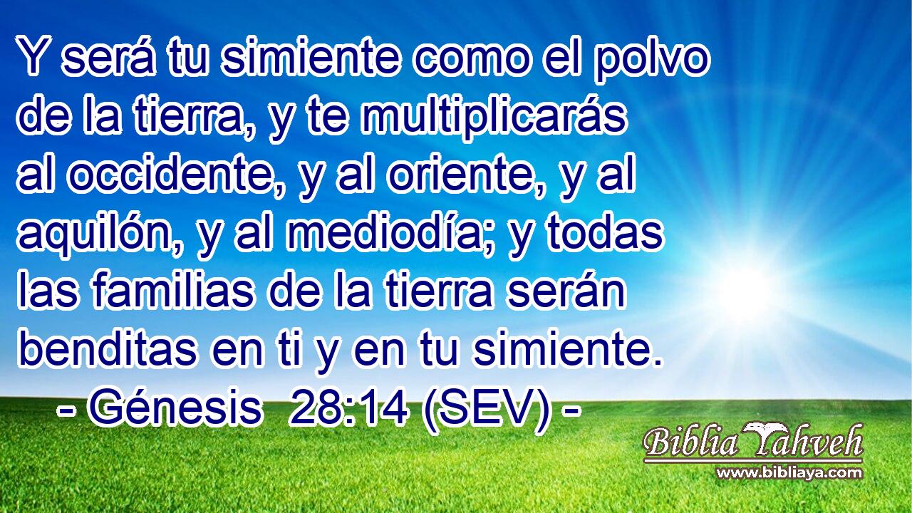 Y será tu simiente como el polvo de la tierra, y te multiplicarás al occidente, y al oriente, y al aquilón, y al mediodía; y todas las familias de la tierra serán benditas en ti y en tu simiente.
