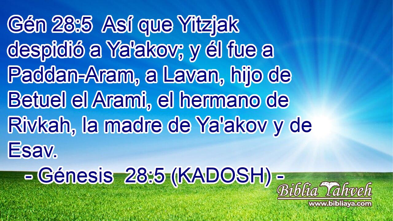  Así que Yitzjak despidió a Ya'akov; y él fue a Paddan-Aram, a Lavan, hijo de Betuel el Arami, el hermano de Rivkah, la madre de Ya'akov y de Esav. 