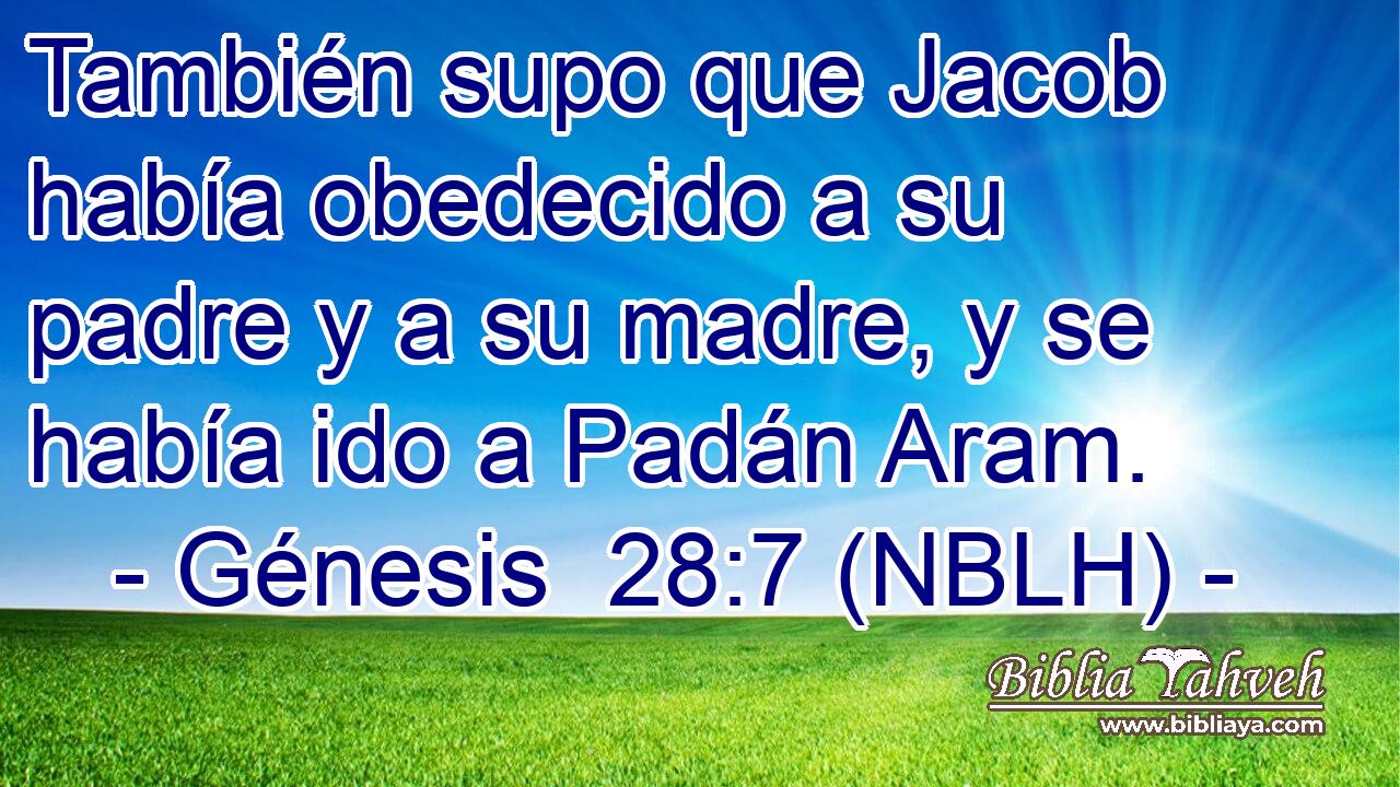  También supo que Jacob había obedecido a su padre y a su madre, y se había ido a Padán Aram. 