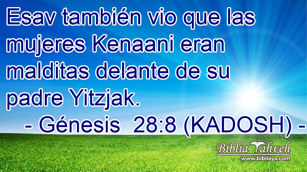  Esav también vio que las mujeres Kenaani eran malditas delante de su padre Yitzjak. 