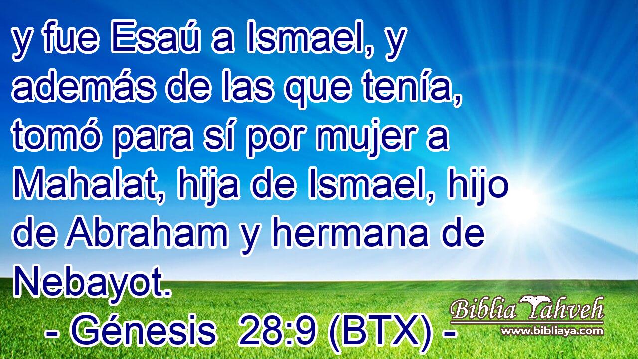 y fue Esaú a Ismael, y además de las que tenía, tomó para sí por mujer a Mahalat, hija de Ismael, hijo de Abraham y hermana de Nebayot.