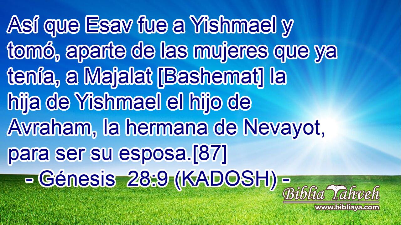  Así que Esav fue a Yishmael y tomó, aparte de las mujeres que ya tenía, a Majalat [Bashemat] la hija de Yishmael el hijo de Avraham, la hermana de Nevayot, para ser su esposa.[87] 