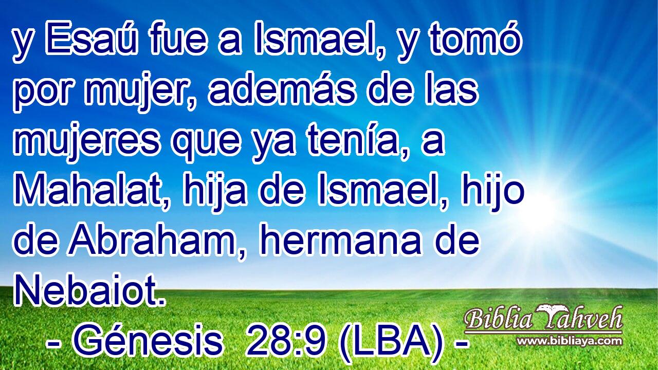 y Esaú fue a Ismael, y tomó por mujer, además de las mujeres que ya tenía, a Mahalat, hija de Ismael, hijo de Abraham, hermana de Nebaiot.