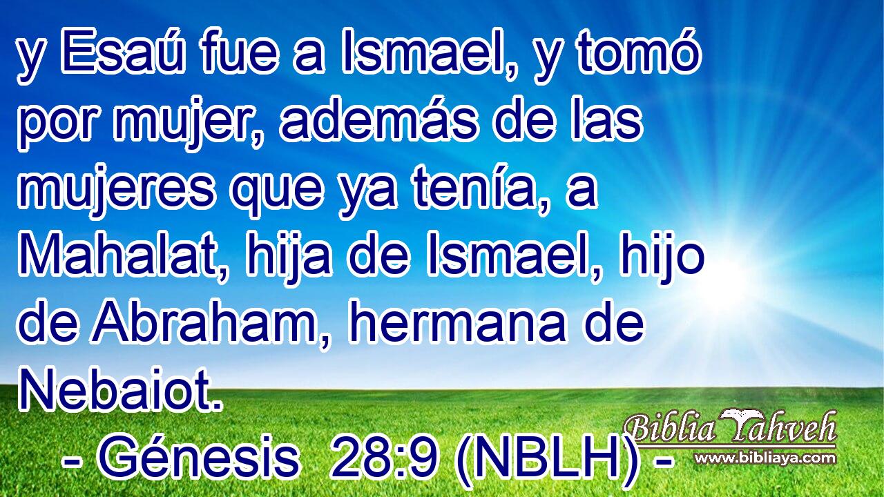  y Esaú fue a Ismael, y tomó por mujer, además de las mujeres que ya tenía, a Mahalat, hija de Ismael, hijo de Abraham, hermana de Nebaiot. 