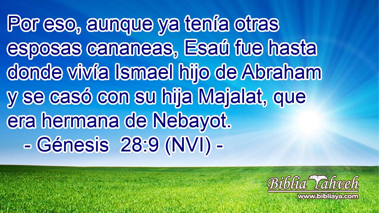  Por eso, aunque ya tenía otras esposas cananeas, Esaú fue hasta donde vivía Ismael hijo de Abraham y se casó con su hija Majalat, que era hermana de Nebayot. 