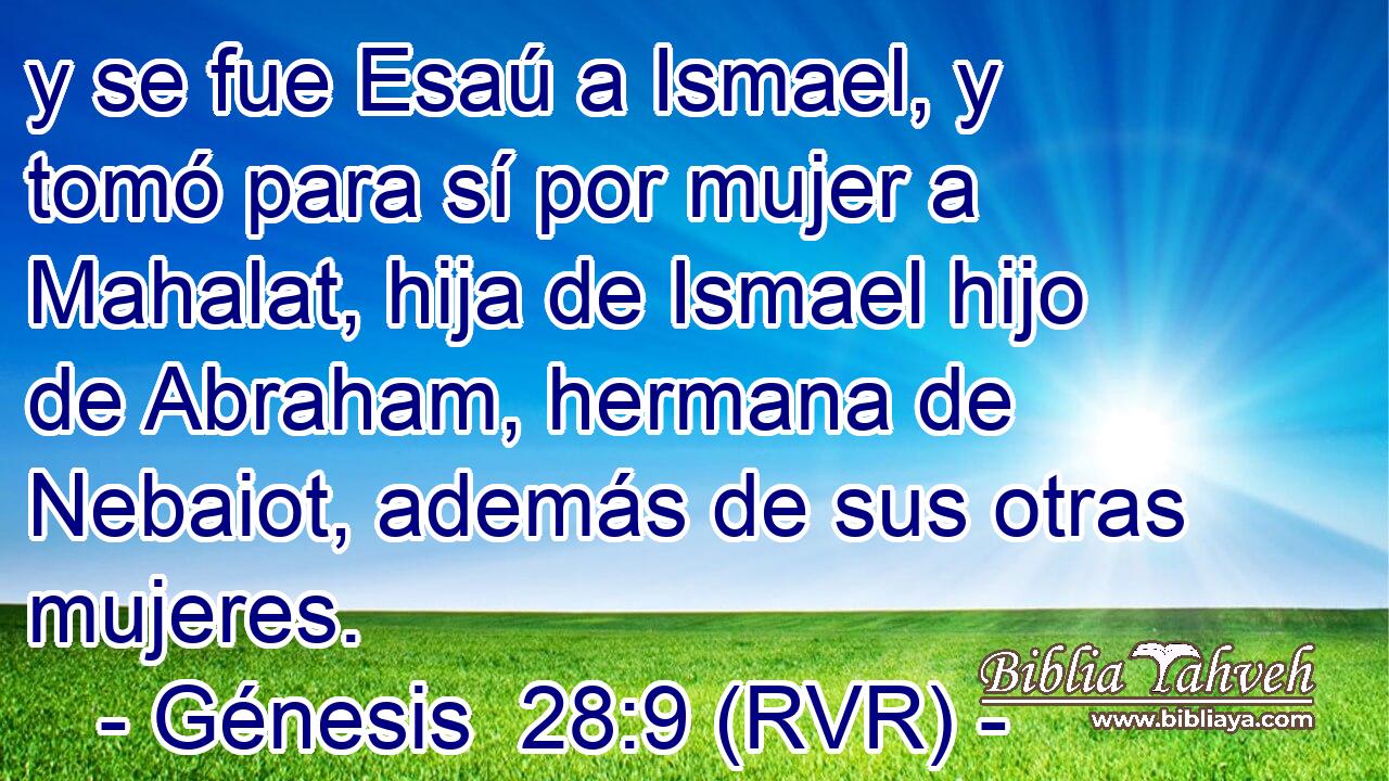 y se fue Esaú a Ismael, y tomó para sí por mujer a Mahalat, hija de Ismael hijo de Abraham, hermana de Nebaiot, además de sus otras mujeres.
