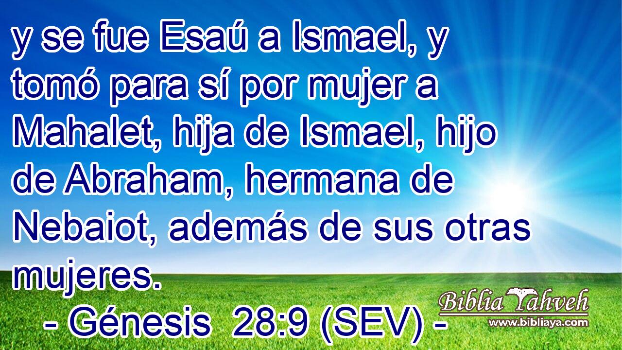 y se fue Esaú a Ismael, y tomó para sí por mujer a Mahalet, hija de Ismael, hijo de Abraham, hermana de Nebaiot, además de sus otras mujeres.