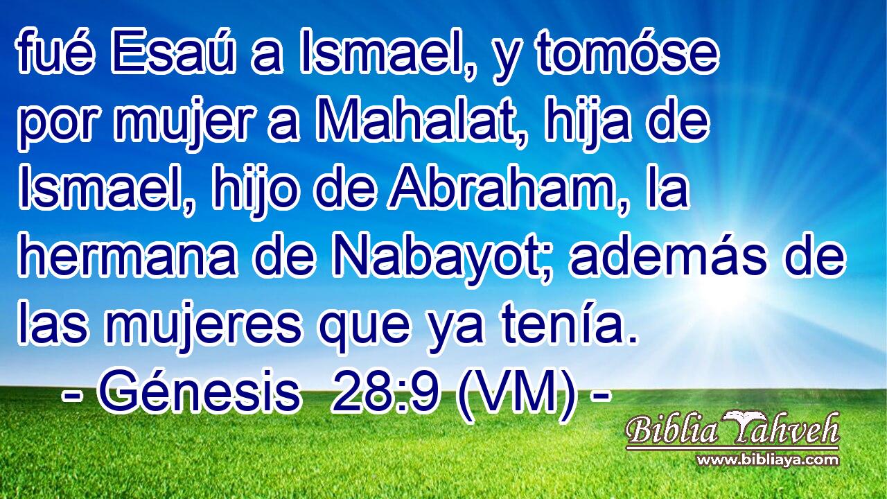  fué Esaú a Ismael, y tomóse por mujer a Mahalat, hija de Ismael, hijo de Abraham, la hermana de Nabayot; además de las mujeres que ya tenía. 