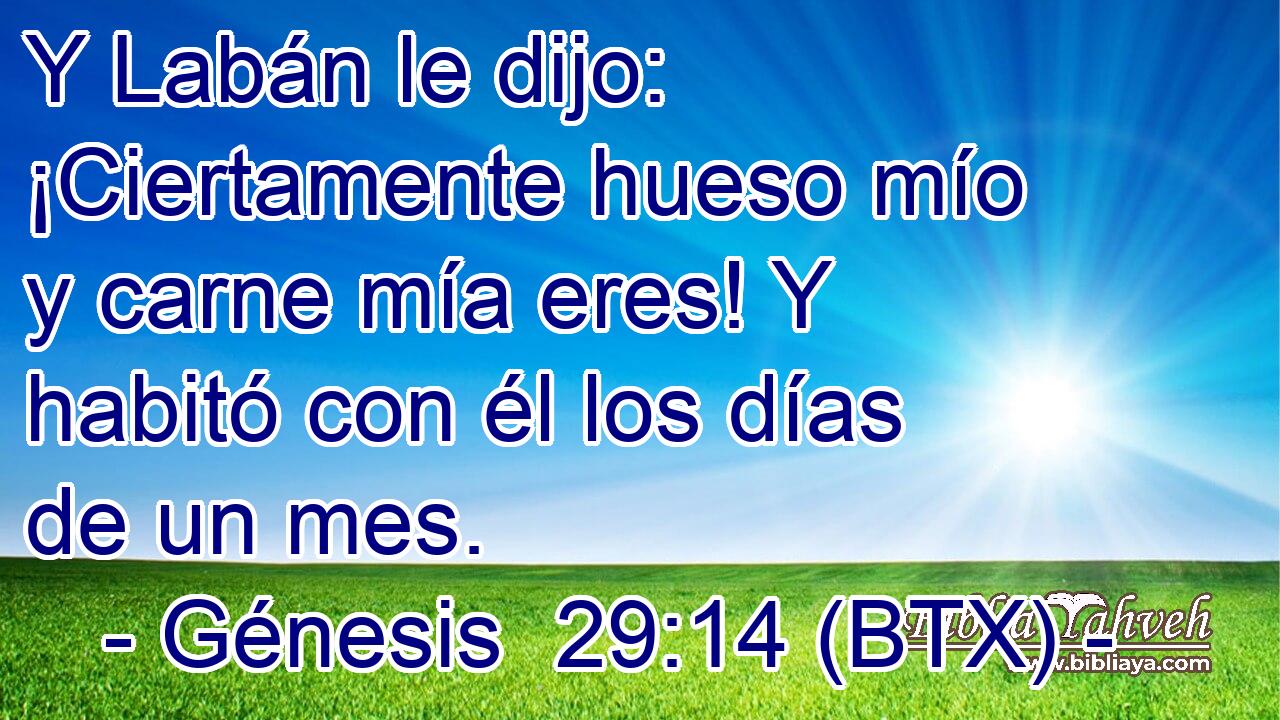 Y Labán le dijo: ¡Ciertamente hueso mío y carne mía eres! Y habitó con él los días de un mes.