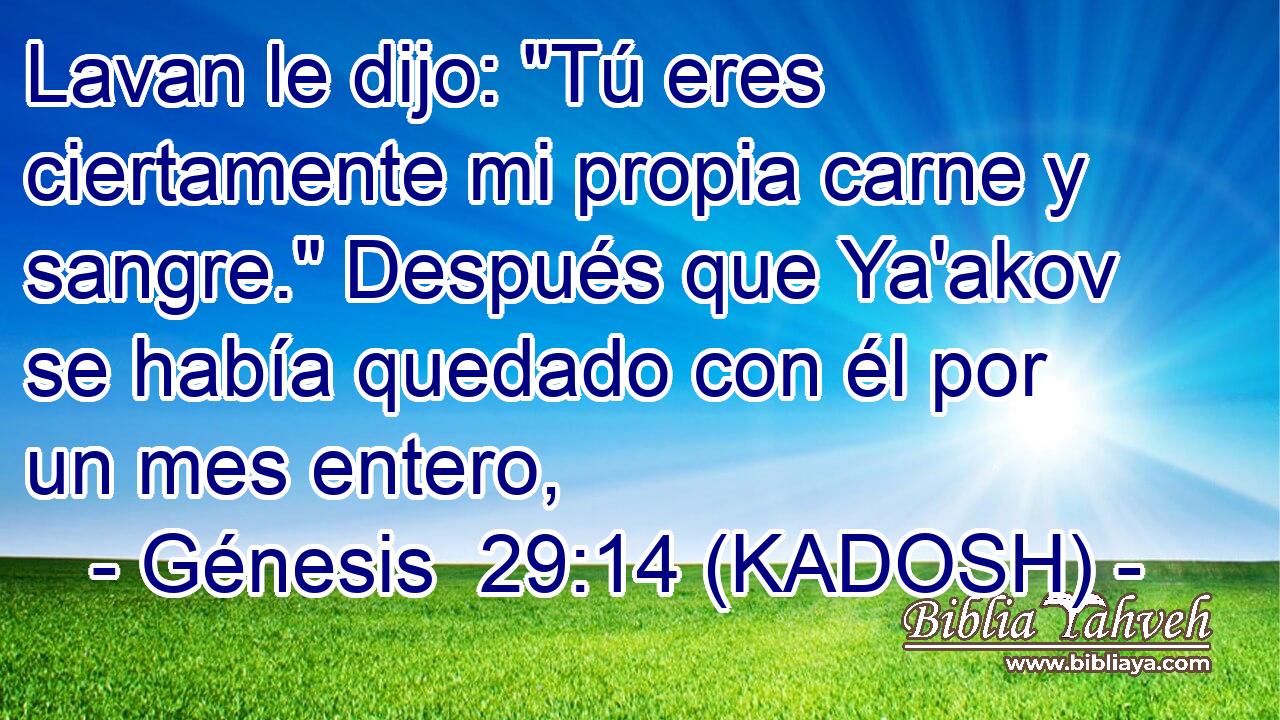  Lavan le dijo: 