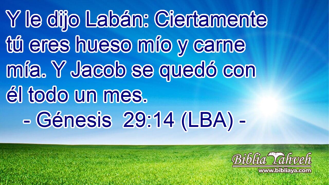 Y le dijo Labán: Ciertamente tú eres hueso mío y carne mía. Y Jacob se quedó con él todo un mes.