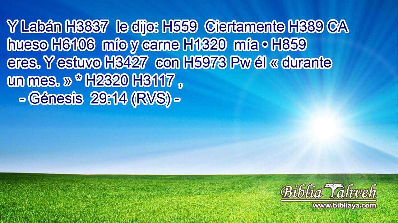 Y Labán H3837  le dijo: H559  Ciertamente H389 CA hueso H6106  mío y carne H1320  mía • H859  eres. Y estuvo H3427  con H5973 Pw él « durante un mes. » * H2320 H3117 ,  