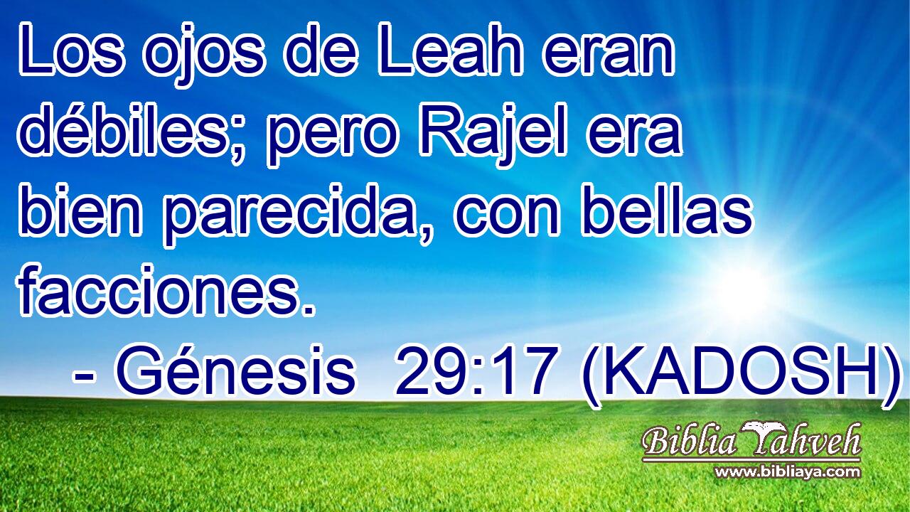  Los ojos de Leah eran débiles; pero Rajel era bien parecida, con bellas facciones. 