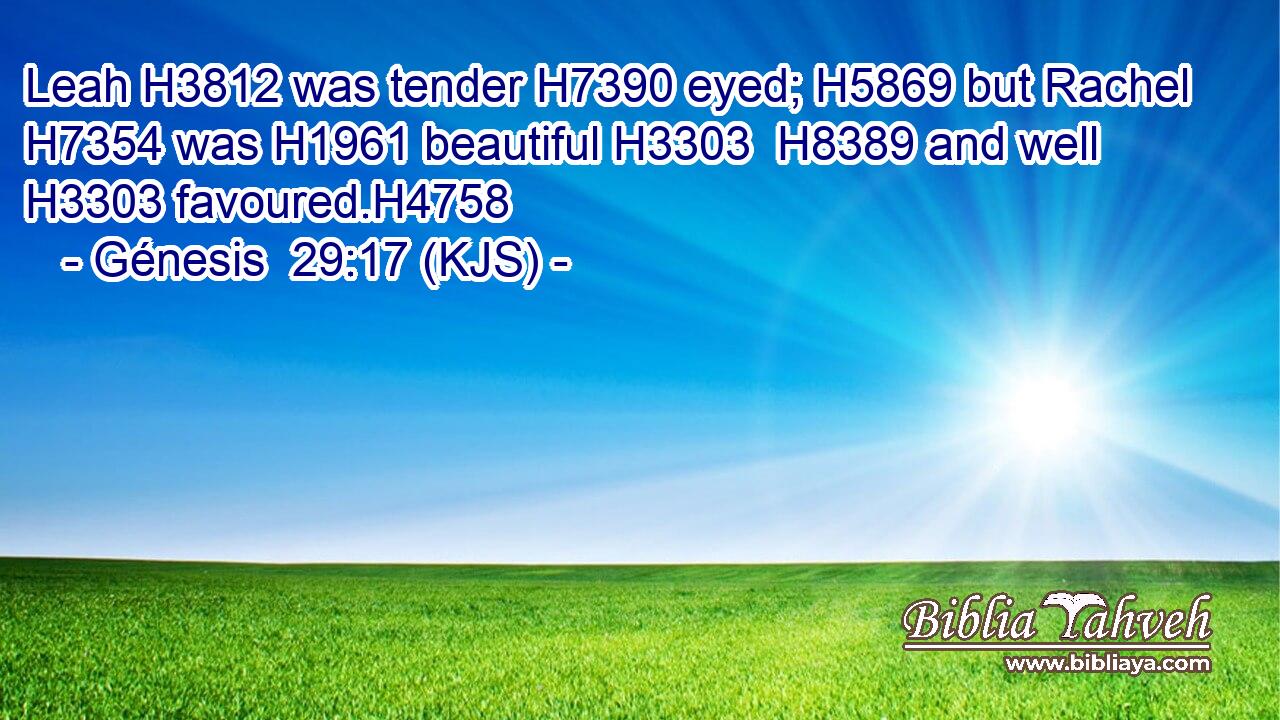Leah H3812 was tender H7390 eyed; H5869 but Rachel H7354 was H1961 beautiful H3303  H8389 and well H3303 favoured.H4758