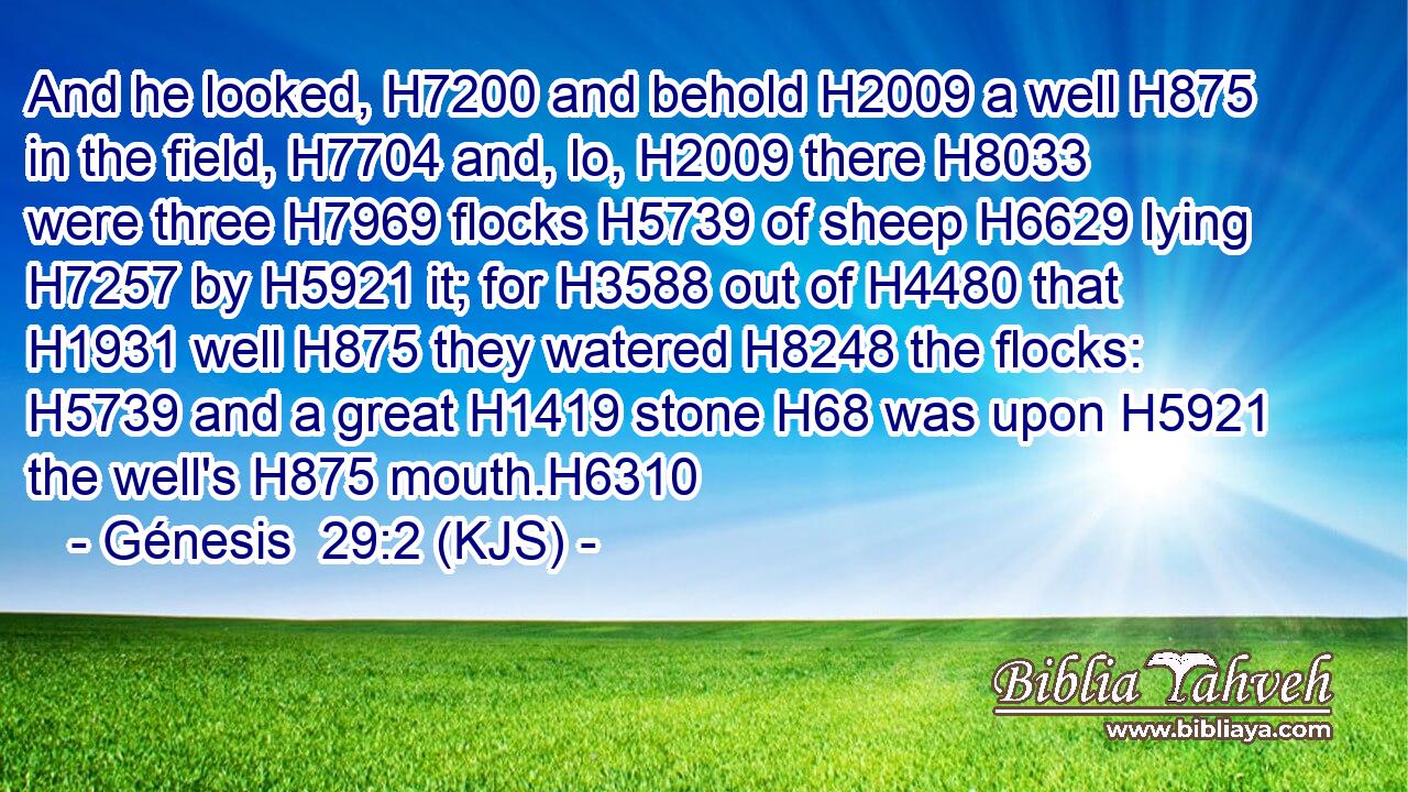 And he looked, H7200 and behold H2009 a well H875 in the field, H7704 and, lo, H2009 there H8033 were three H7969 flocks H5739 of sheep H6629 lying H7257 by H5921 it; for H3588 out of H4480 that H1931 well H875 they watered H8248 the flocks: H5739 and a great H1419 stone H68 was upon H5921 the well's H875 mouth.H6310
