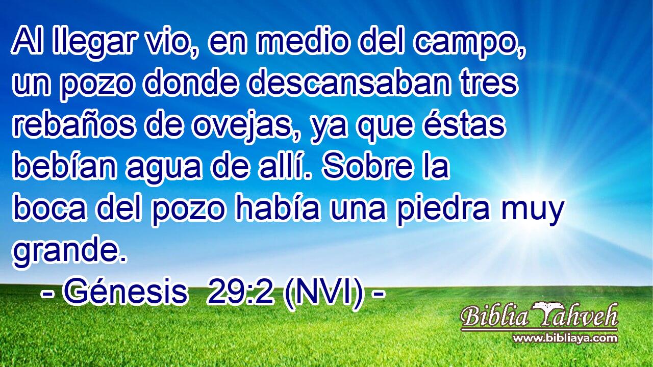  Al llegar vio, en medio del campo, un pozo donde descansaban tres rebaños de ovejas, ya que éstas bebían agua de allí. Sobre la boca del pozo había una piedra muy grande. 