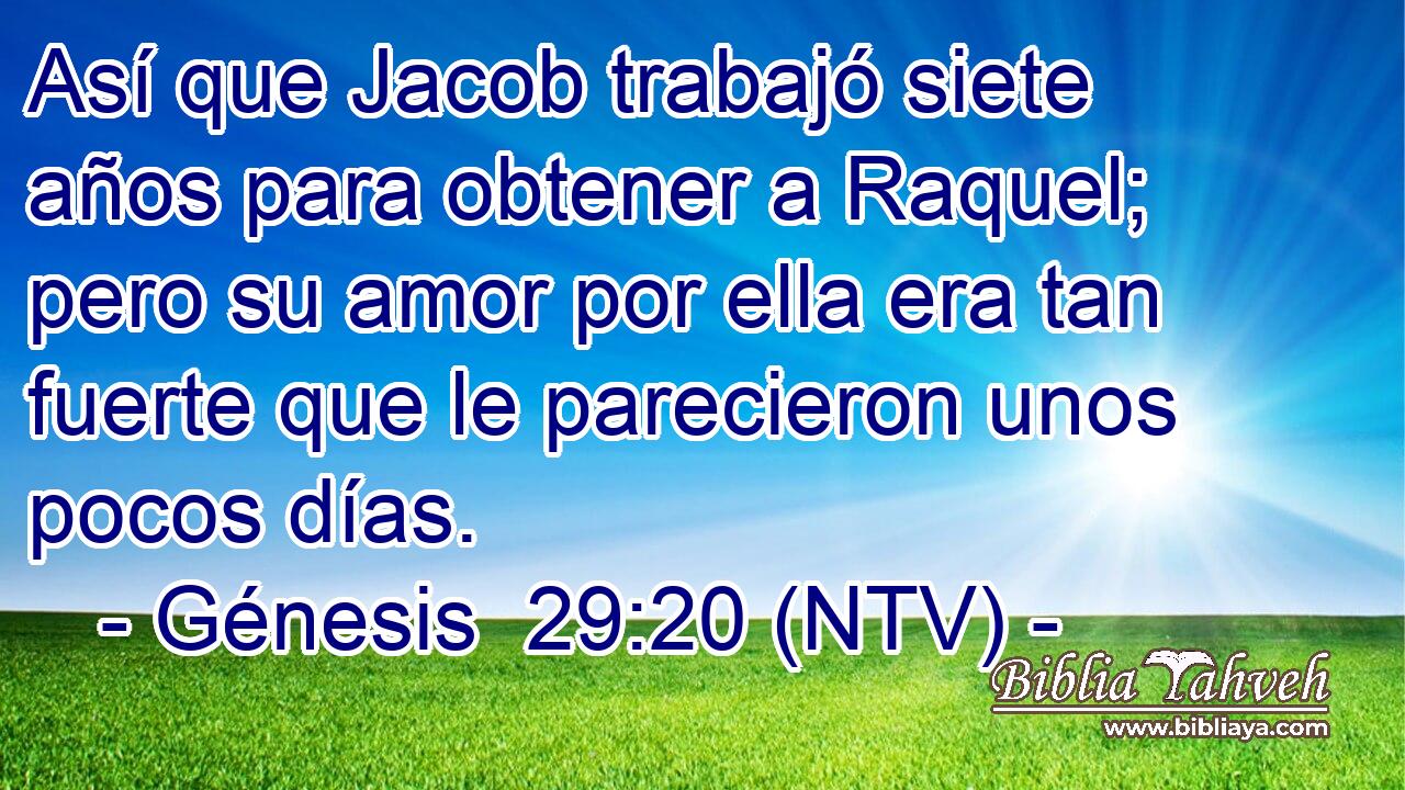 Así que Jacob trabajó siete años para obtener a Raquel; pero su amor por ella era tan fuerte que le parecieron unos pocos días.