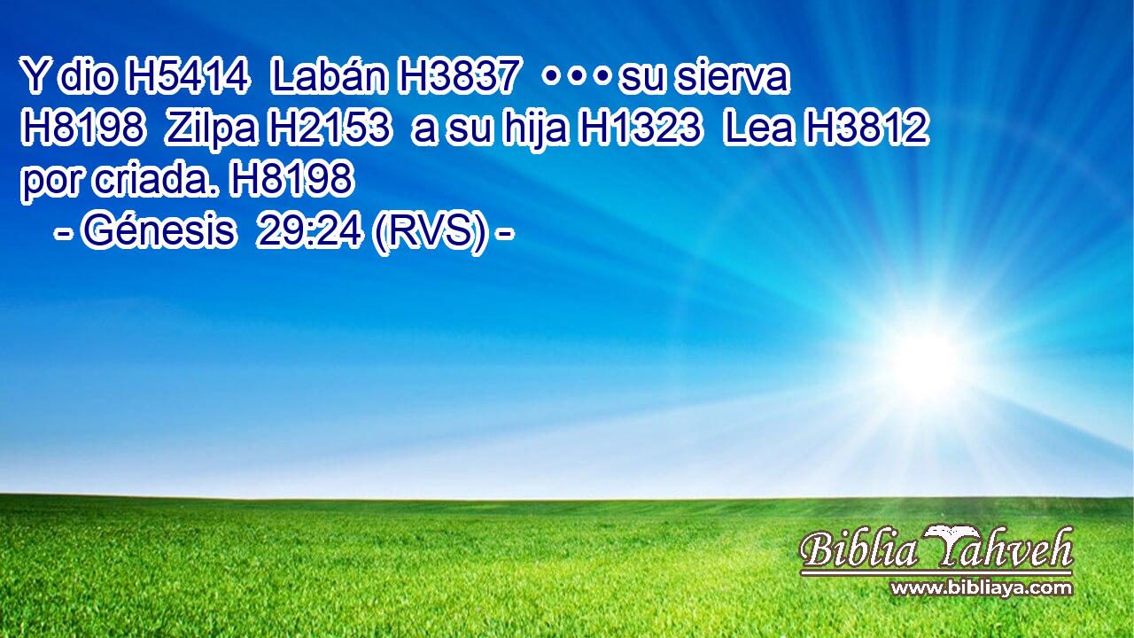 Y dio H5414  Labán H3837  • • • su sierva H8198  Zilpa H2153  a su hija H1323  Lea H3812  por criada. H8198  