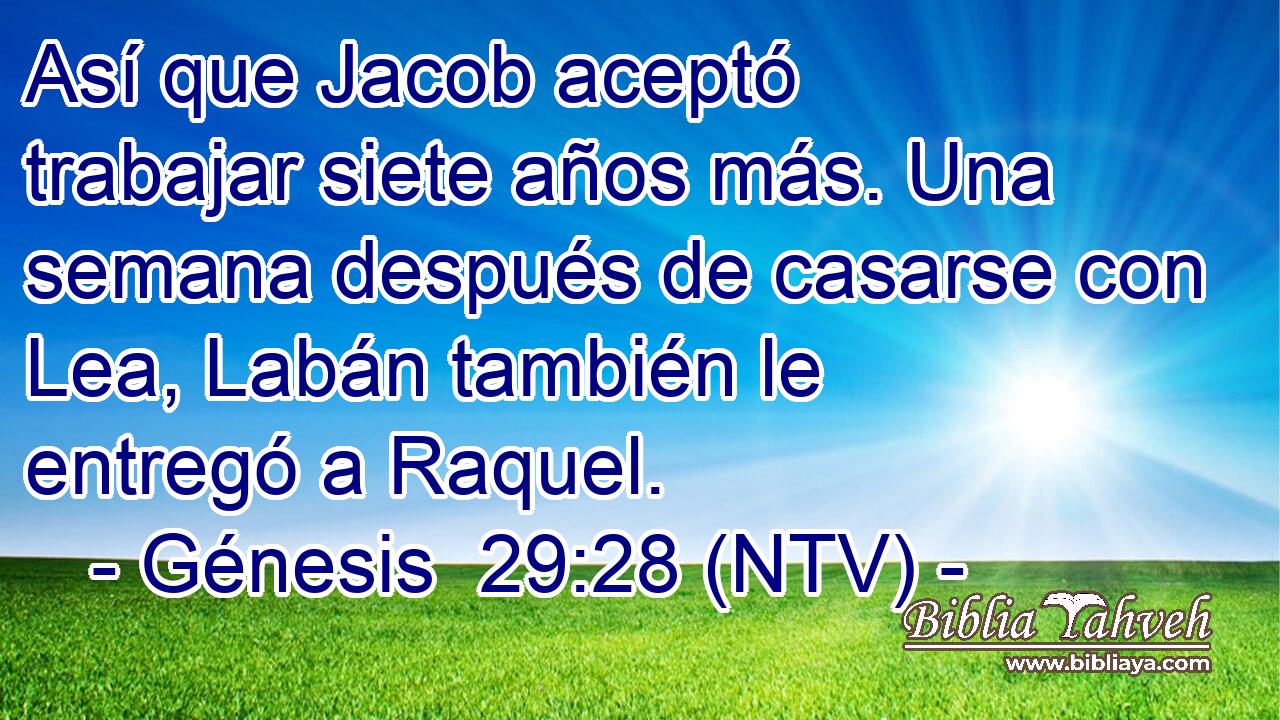 Así que Jacob aceptó trabajar siete años más. Una semana después de casarse con Lea, Labán también le entregó a Raquel.