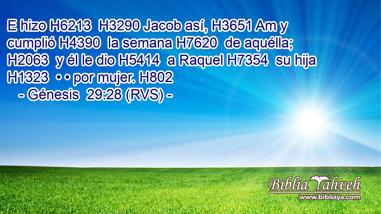E hizo H6213  H3290 Jacob así, H3651 Am y cumplió H4390  la semana H7620  de aquélla; H2063  y él le dio H5414  a Raquel H7354  su hija H1323  • • por mujer. H802  