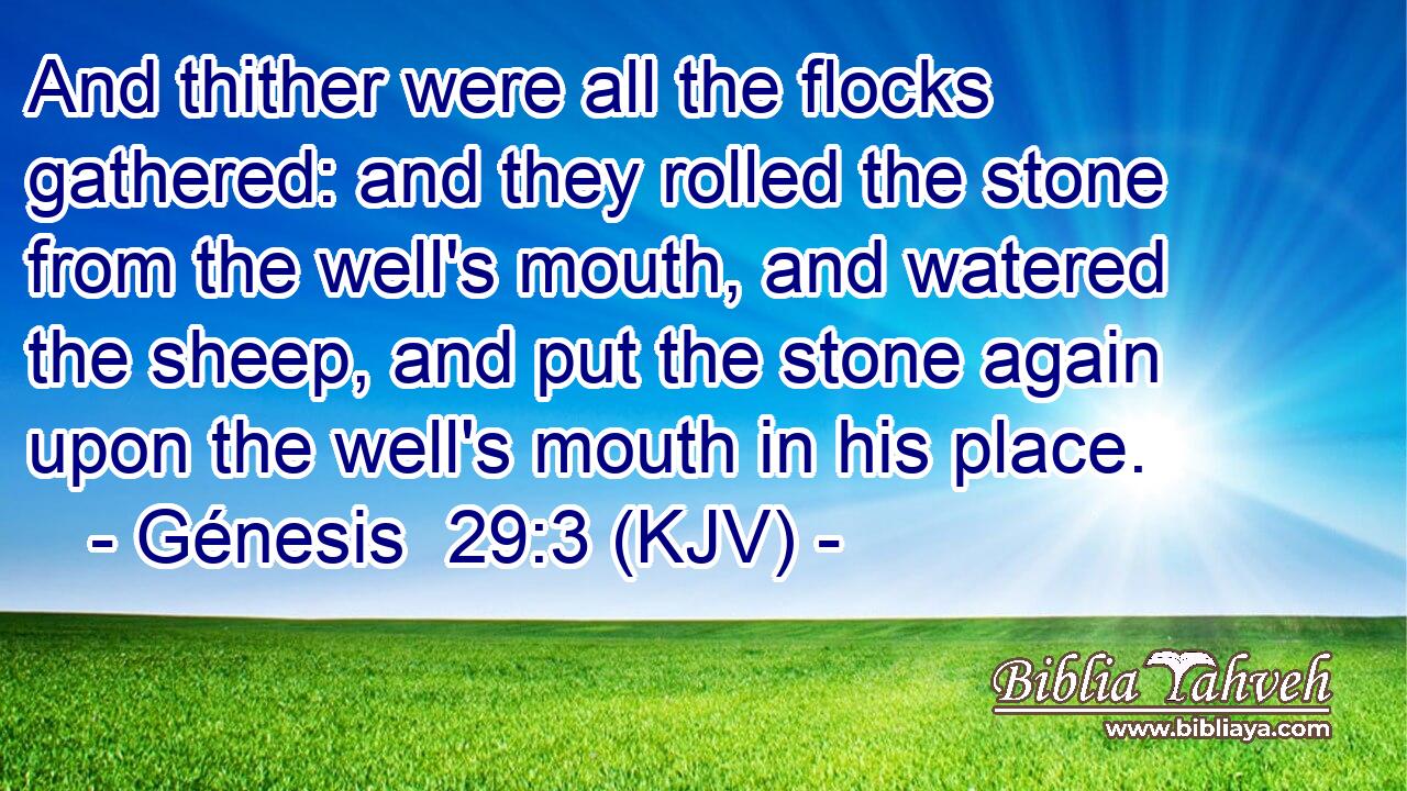 And thither were all the flocks gathered: and they rolled the stone from the well's mouth, and watered the sheep, and put the stone again upon the well's mouth in his place.
