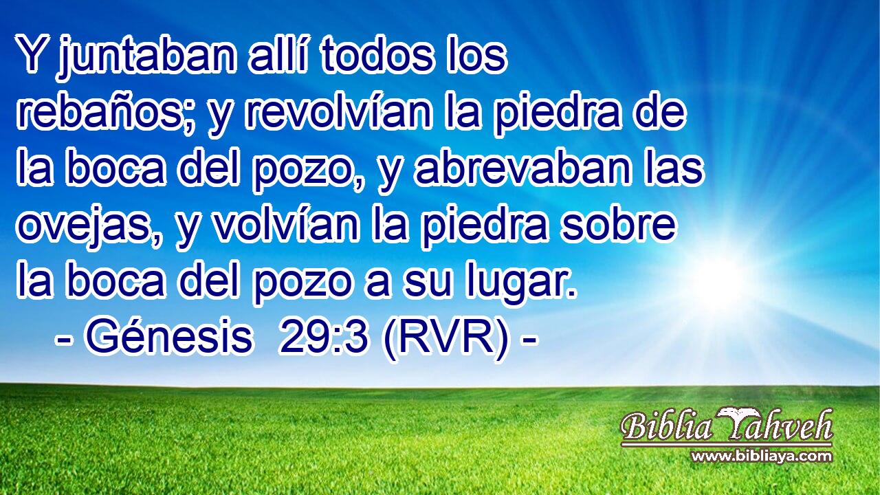 Y juntaban allí todos los rebaños; y revolvían la piedra de la boca del pozo, y abrevaban las ovejas, y volvían la piedra sobre la boca del pozo a su lugar.