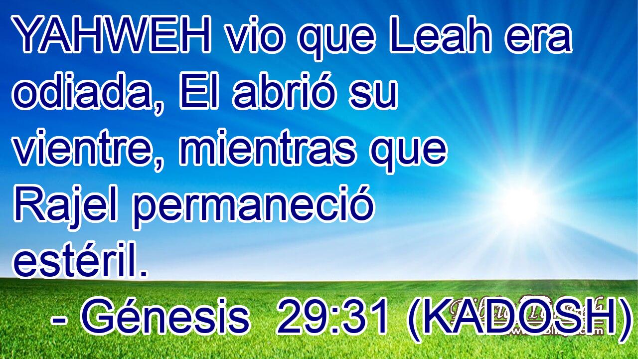  YAHWEH vio que Leah era odiada, El abrió su vientre, mientras que Rajel permaneció estéril. 