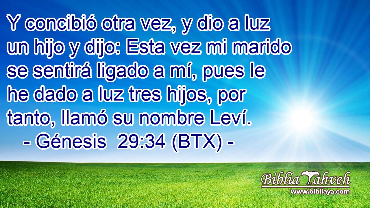Y concibió otra vez, y dio a luz un hijo y dijo: Esta vez mi marido se sentirá ligado a mí, pues le he dado a luz tres hijos, por tanto, llamó su nombre Leví.