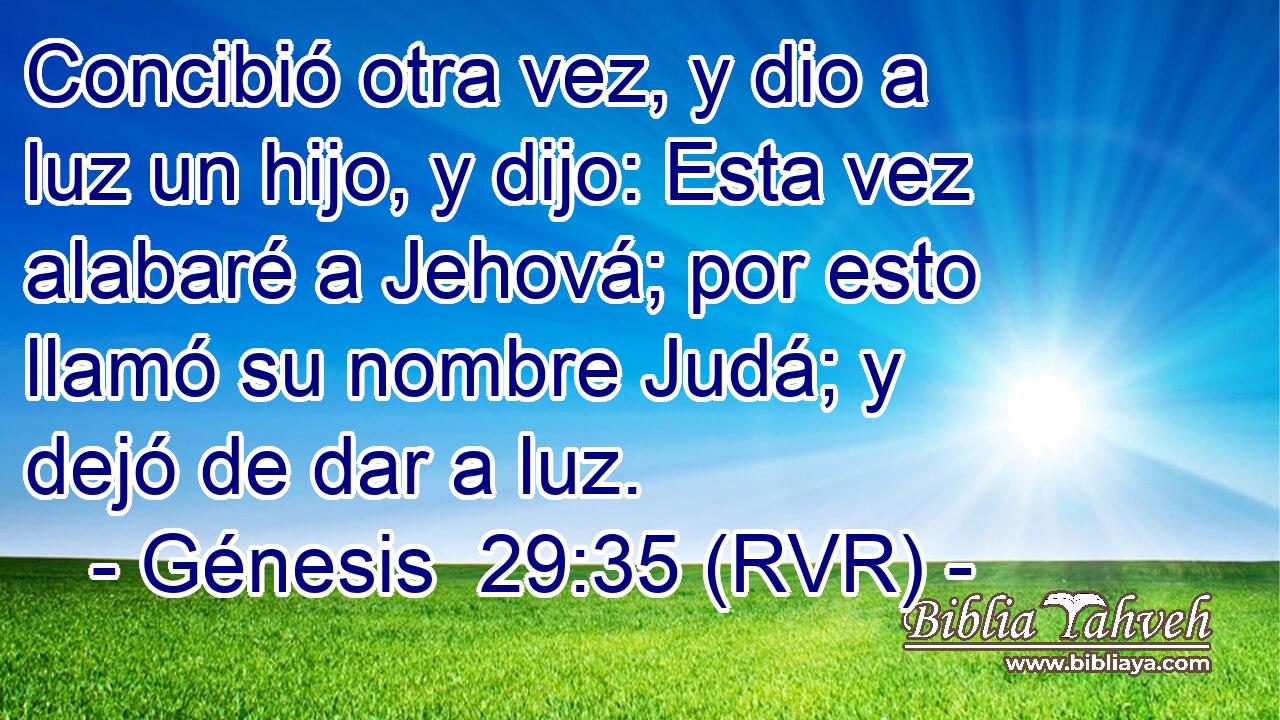 Concibió otra vez, y dio a luz un hijo, y dijo: Esta vez alabaré a Jehová; por esto llamó su nombre Judá; y dejó de dar a luz.