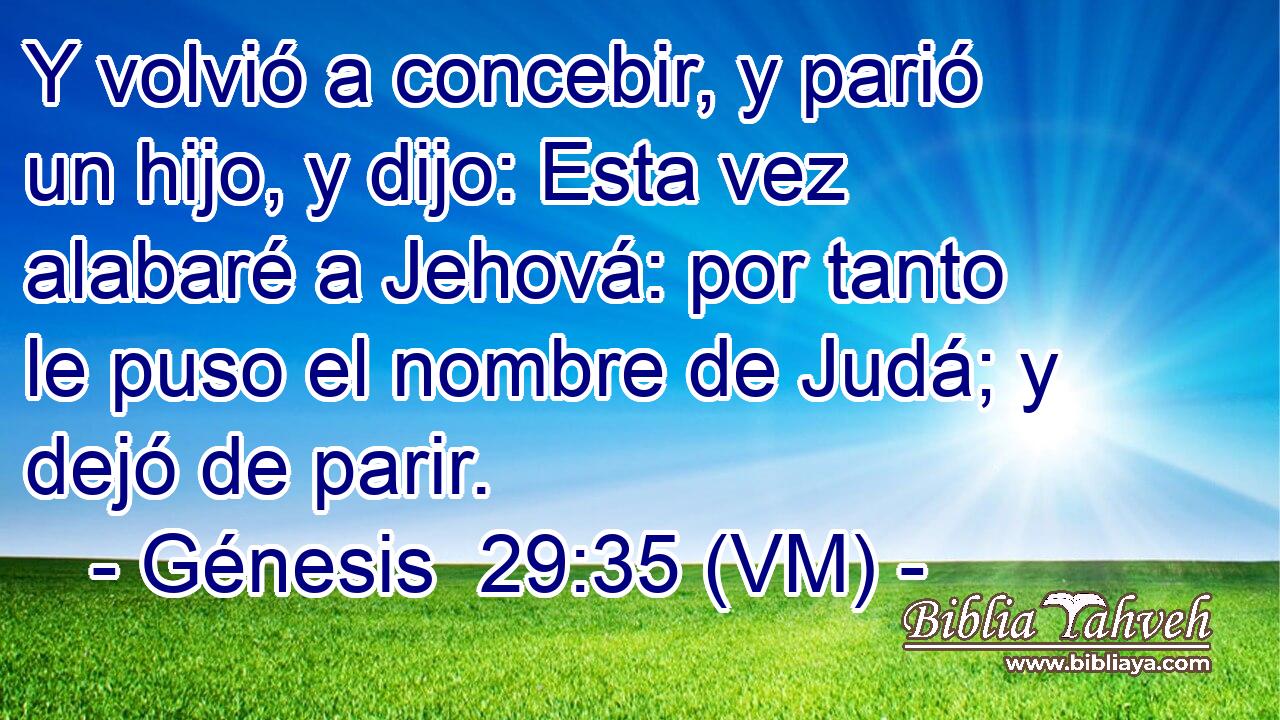  Y volvió a concebir, y parió un hijo, y dijo: Esta vez alabaré a Jehová: por tanto le puso el nombre de Judá; y dejó de parir. 