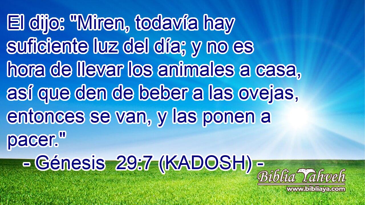  El dijo: 