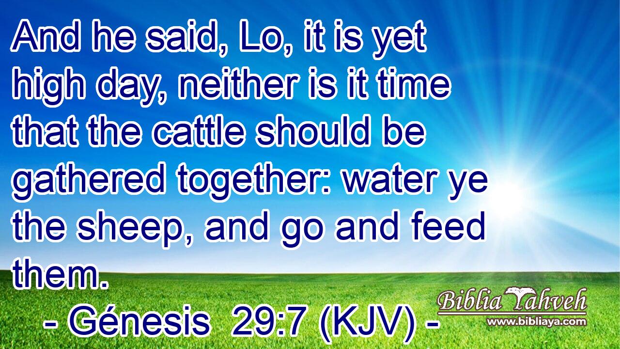 And he said, Lo, it is yet high day, neither is it time that the cattle should be gathered together: water ye the sheep, and go and feed them.