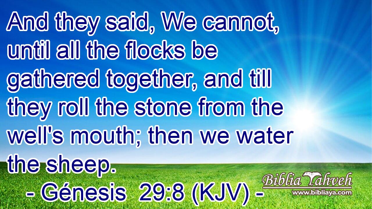 And they said, We cannot, until all the flocks be gathered together, and till they roll the stone from the well's mouth; then we water the sheep.