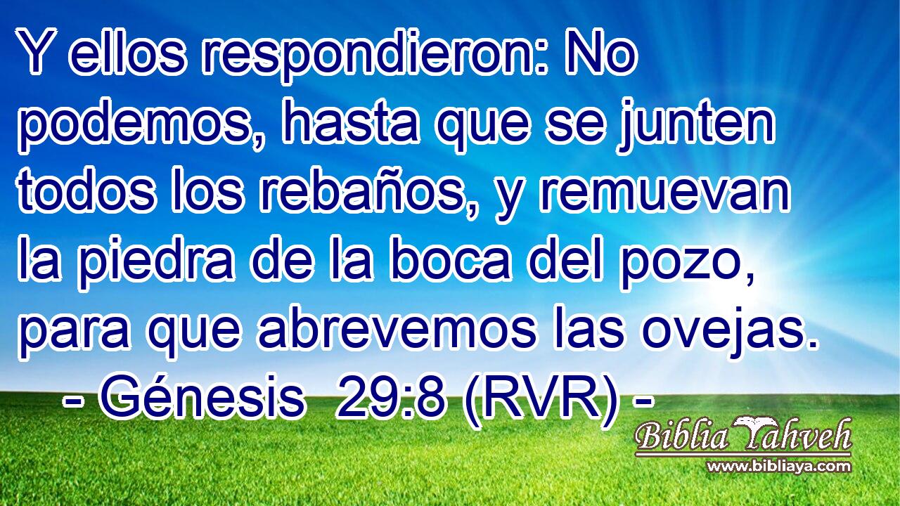 Y ellos respondieron: No podemos, hasta que se junten todos los rebaños, y remuevan la piedra de la boca del pozo, para que abrevemos las ovejas.