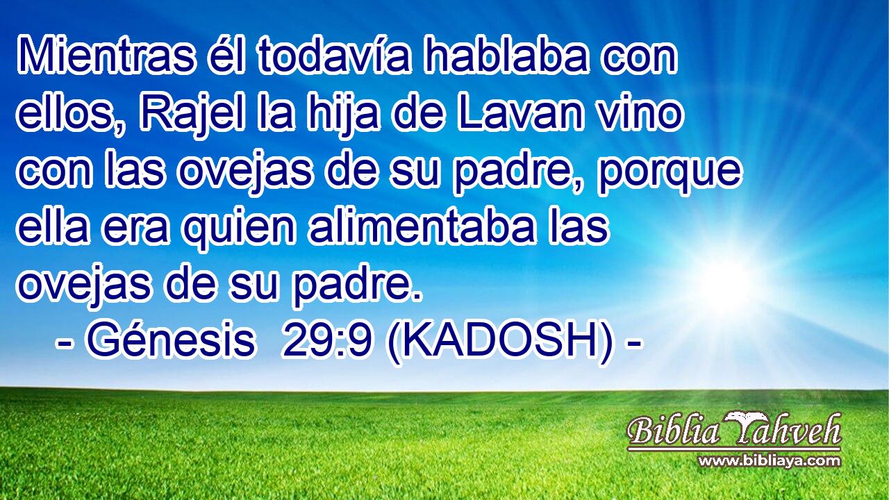  Mientras él todavía hablaba con ellos, Rajel la hija de Lavan vino con las ovejas de su padre, porque ella era quien alimentaba las ovejas de su padre. 