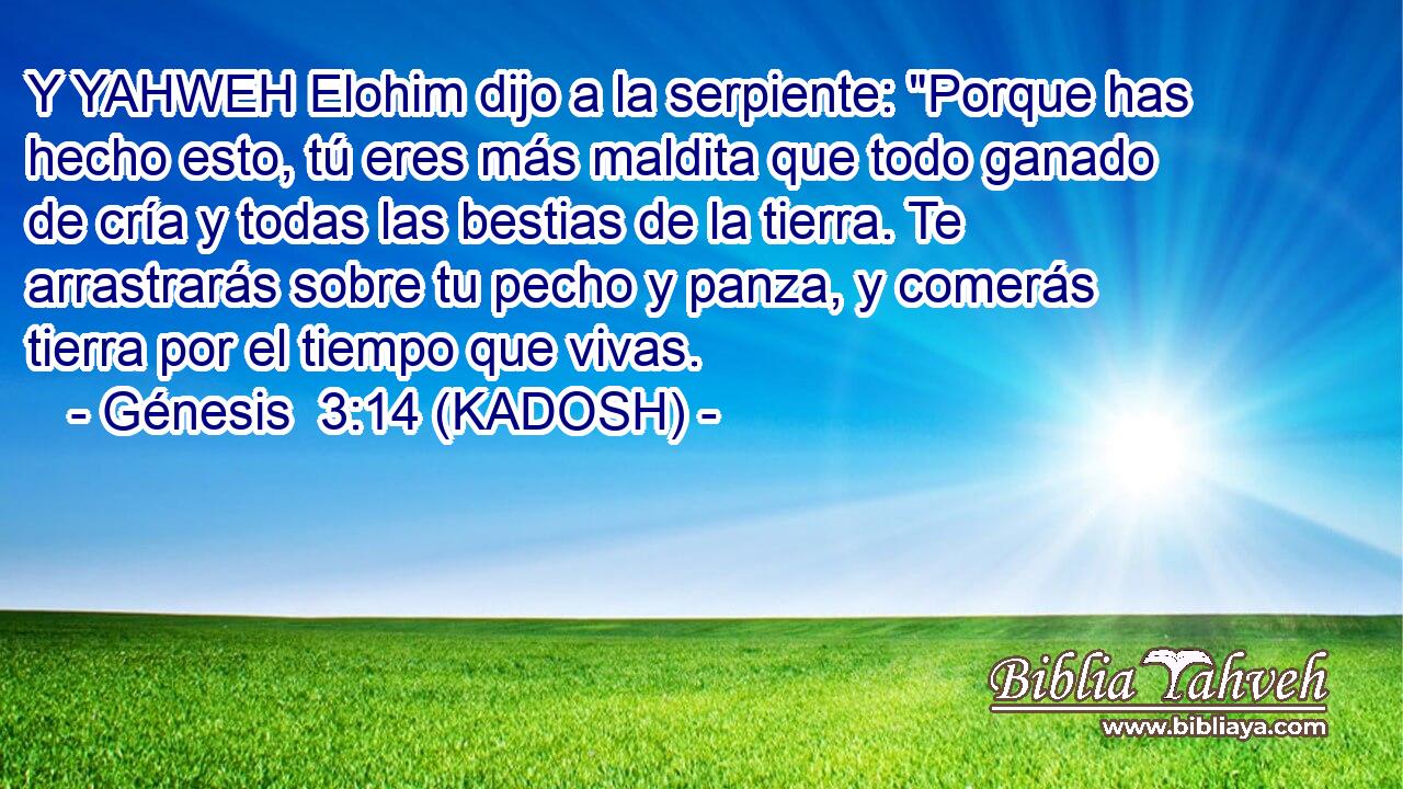 Y YAHWEH Elohim dijo a la serpiente: 