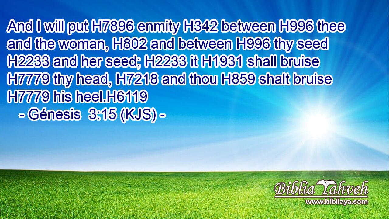 And I will put H7896 enmity H342 between H996 thee and the woman, H802 and between H996 thy seed H2233 and her seed; H2233 it H1931 shall bruise H7779 thy head, H7218 and thou H859 shalt bruise H7779 his heel.H6119