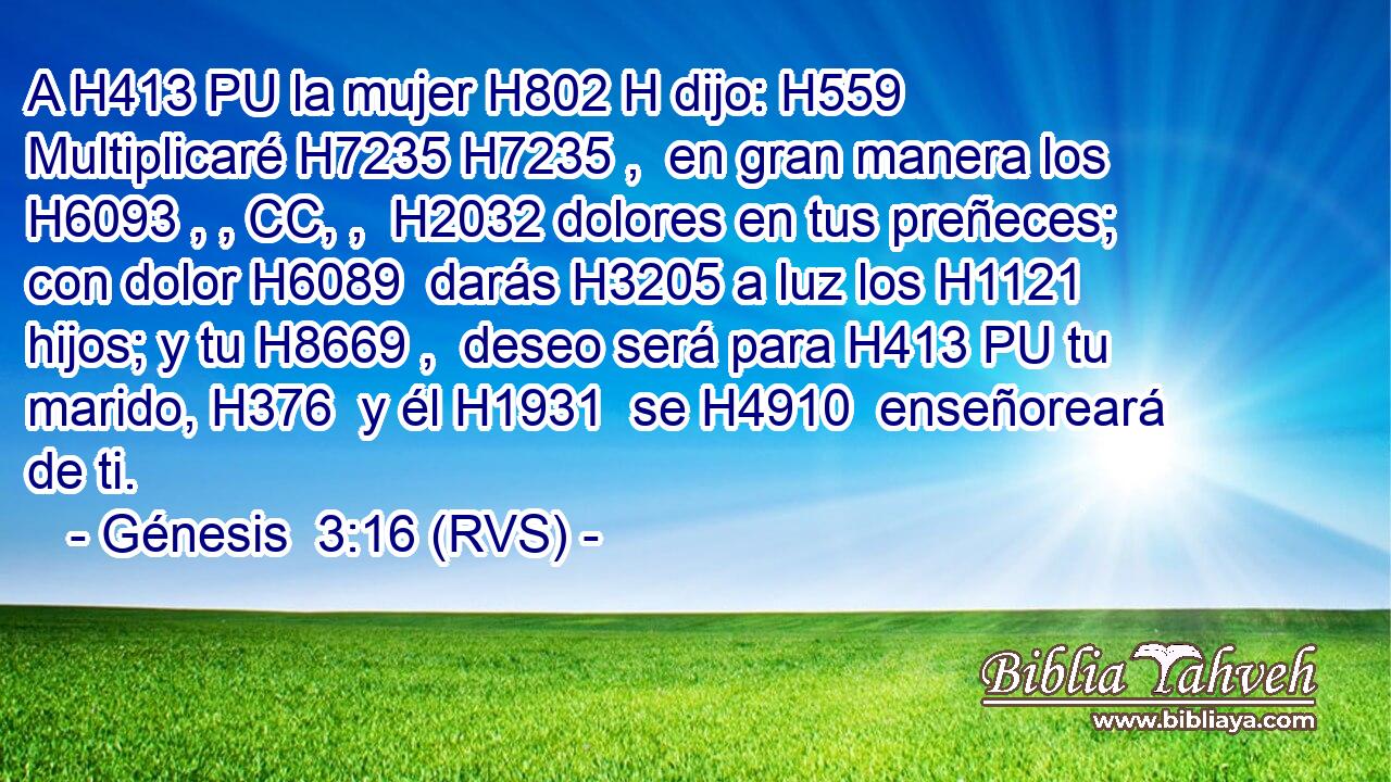 A H413 PU la mujer H802 H dijo: H559  Multiplicaré H7235 H7235 ,  en gran manera los H6093 , , CC, ,  H2032 dolores en tus preñeces; con dolor H6089  darás H3205 a luz los H1121  hijos; y tu H8669 ,  deseo será para H413 PU tu marido, H376  y él H1931  se H4910  enseñoreará de ti. 