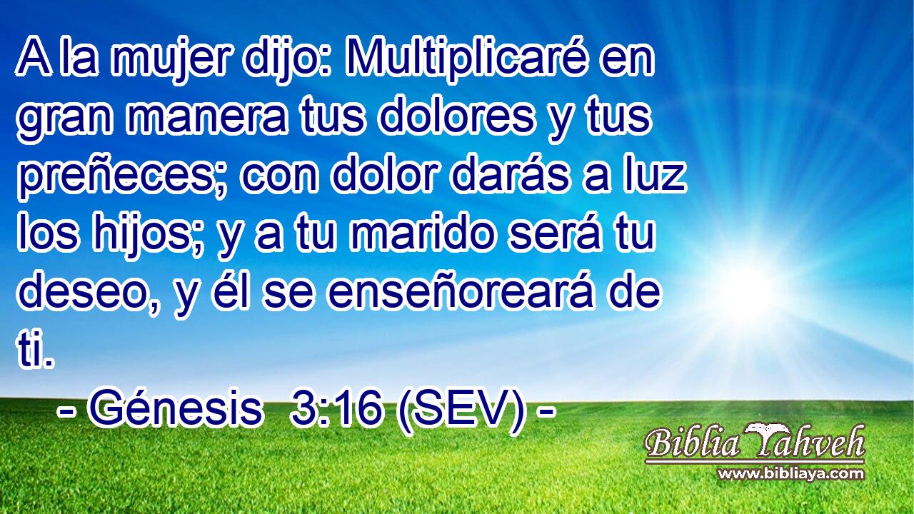 A la mujer dijo: Multiplicaré en gran manera tus dolores y tus preñeces; con dolor darás a luz los hijos; y a tu marido será tu deseo, y él se enseñoreará de ti.