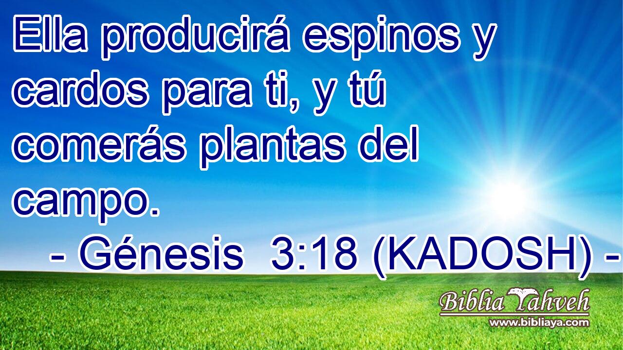  Ella producirá espinos y cardos para ti, y tú comerás plantas del campo. 