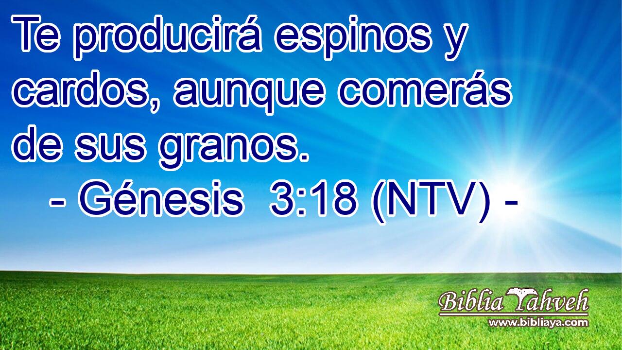 Te producirá espinos y cardos, aunque comerás de sus granos.
