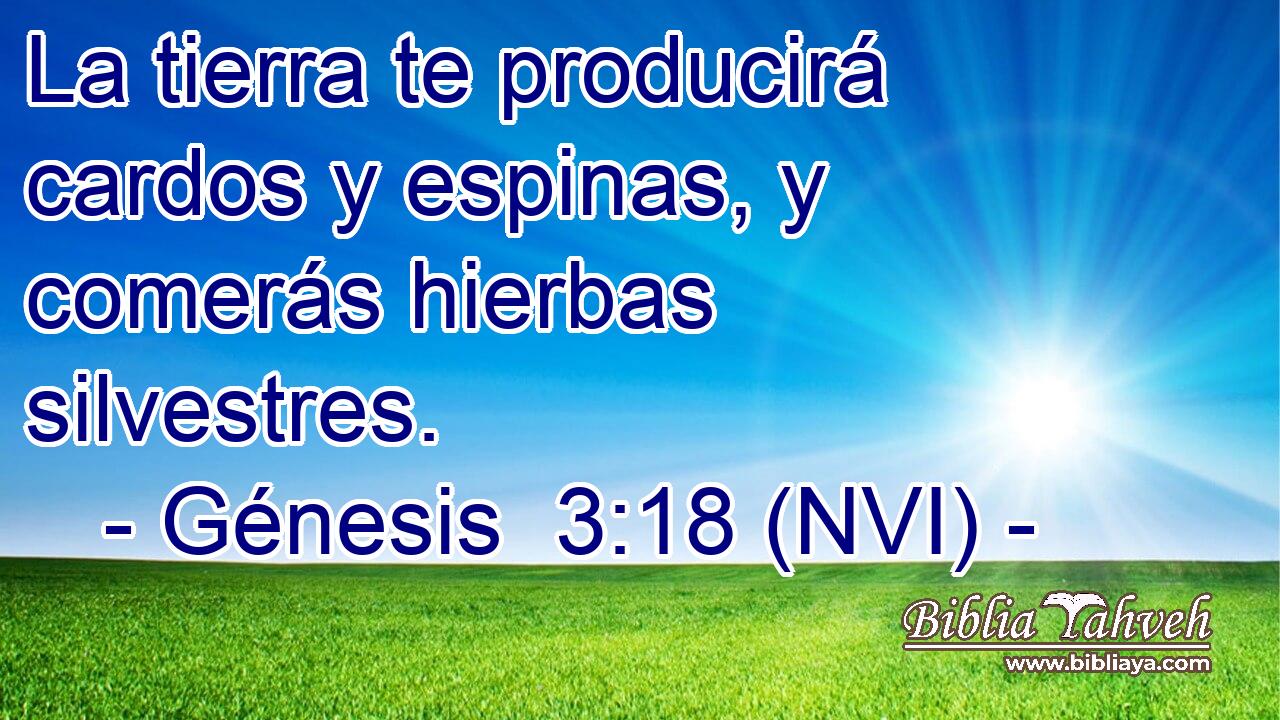  La tierra te producirá cardos y espinas, y comerás hierbas silvestres. 