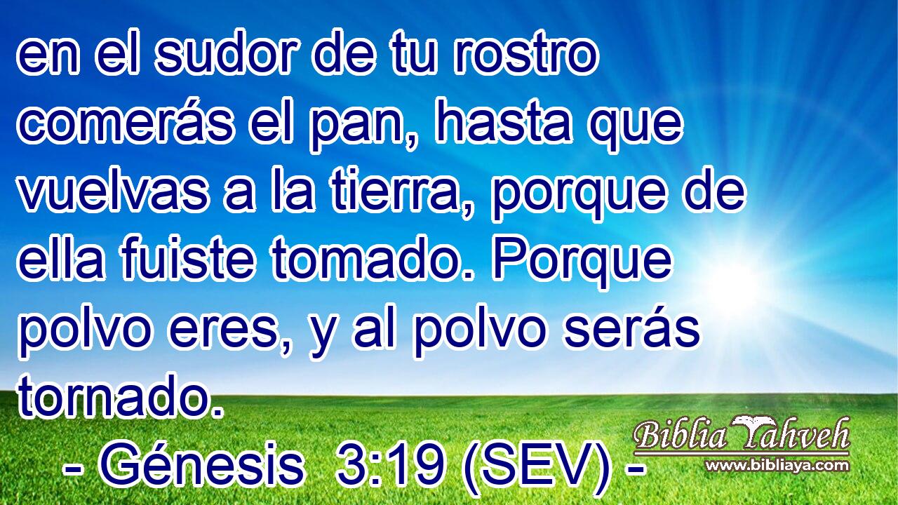 en el sudor de tu rostro comerás el pan, hasta que vuelvas a la tierra, porque de ella fuiste tomado. Porque polvo eres, y al polvo serás tornado.