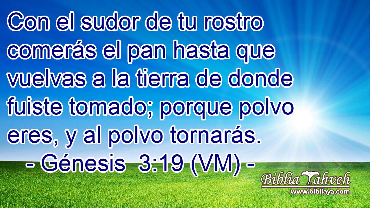  Con el sudor de tu rostro comerás el pan hasta que vuelvas a la tierra de donde fuiste tomado; porque polvo eres, y al polvo tornarás. 