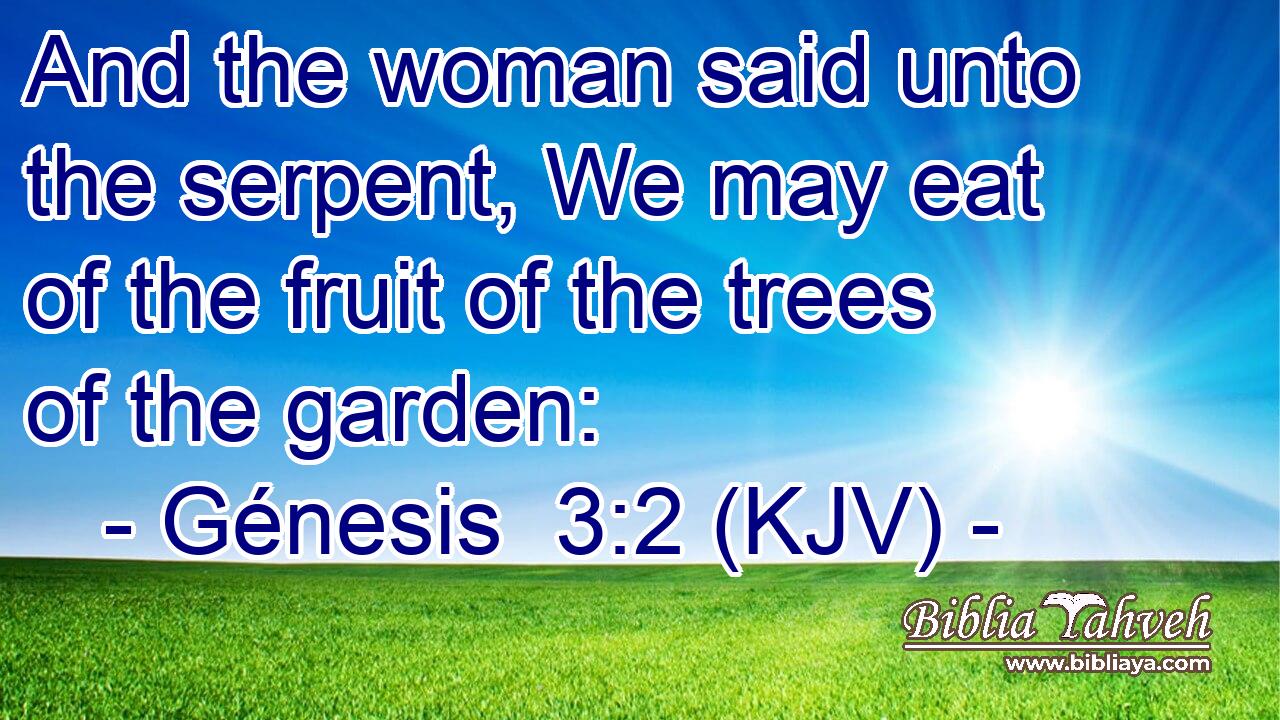 And the woman said unto the serpent, We may eat of the fruit of the trees of the garden:
