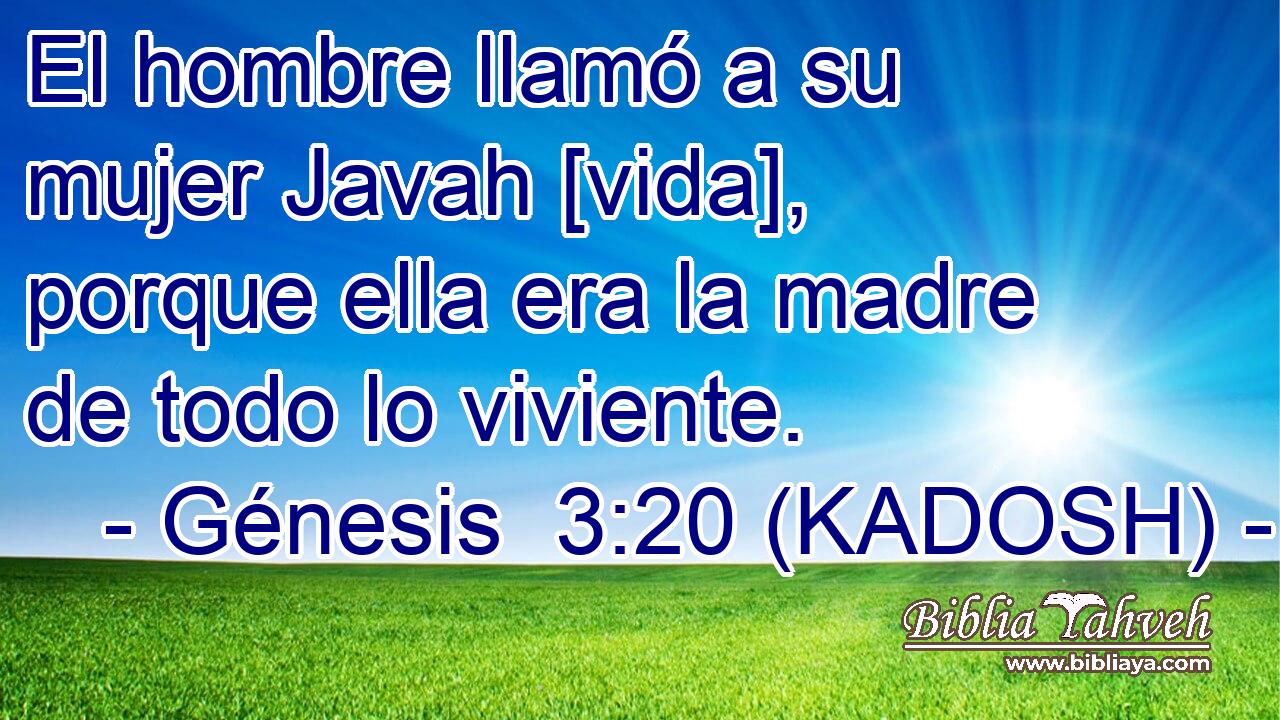  El hombre llamó a su mujer Javah [vida], porque ella era la madre de todo lo viviente. 