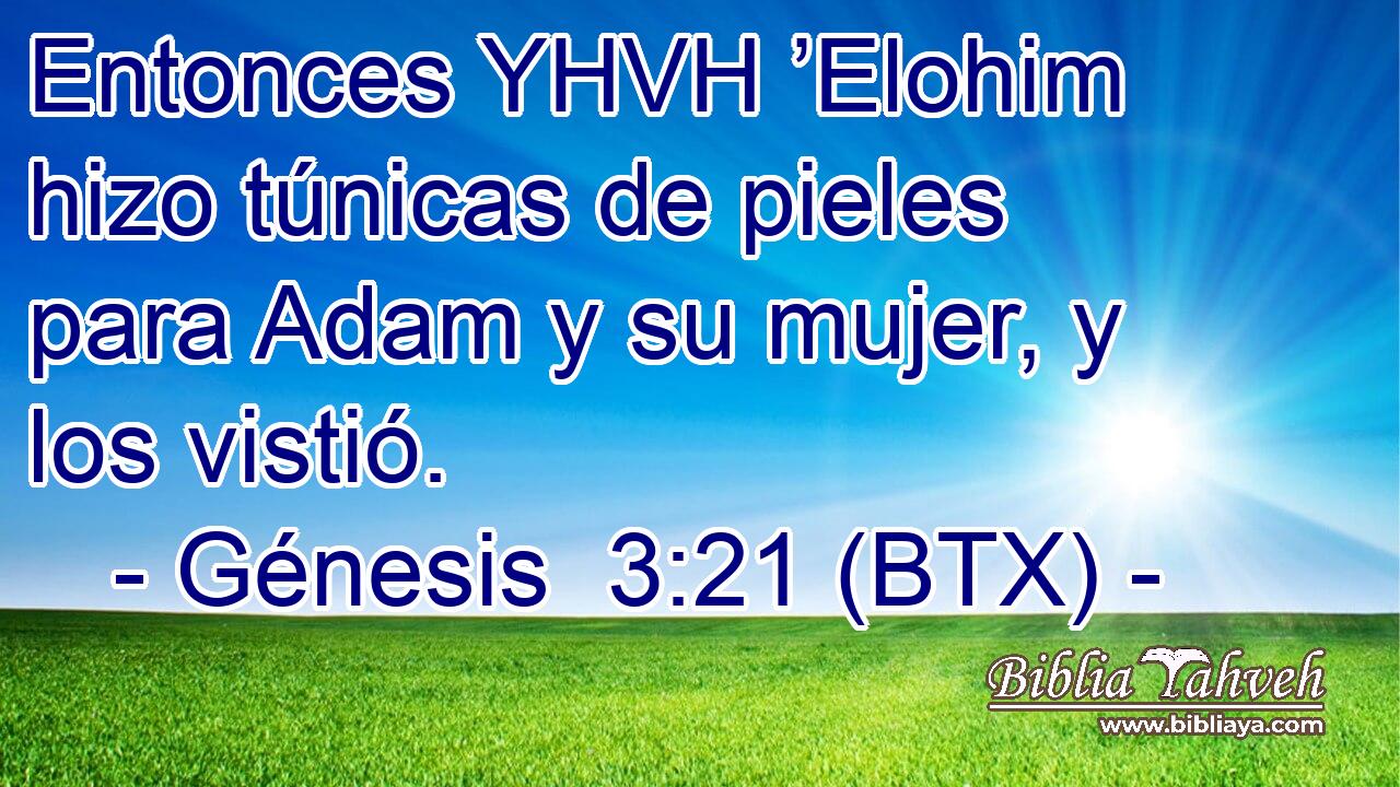 Entonces YHVH ’Elohim hizo túnicas de pieles para Adam y su mujer, y los vistió.