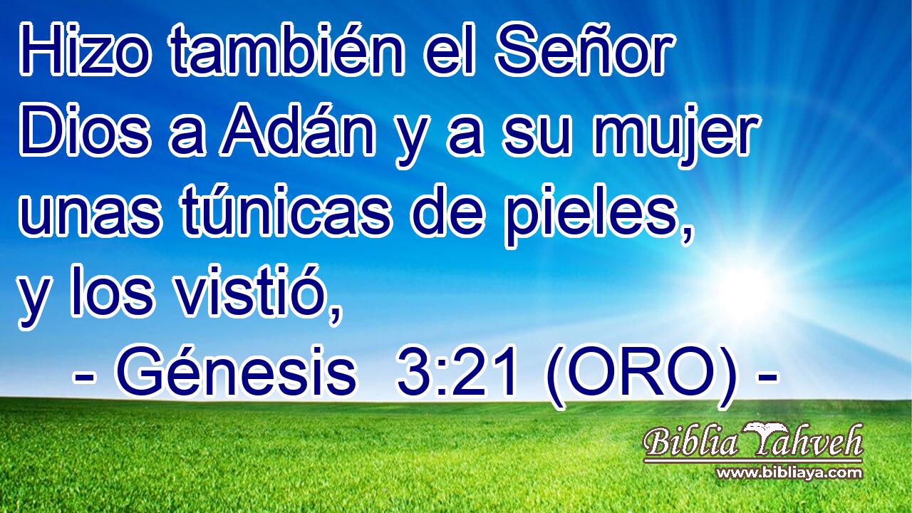  Hizo también el Señor Dios a Adán y a su mujer unas túnicas de pieles, y los vistió, 